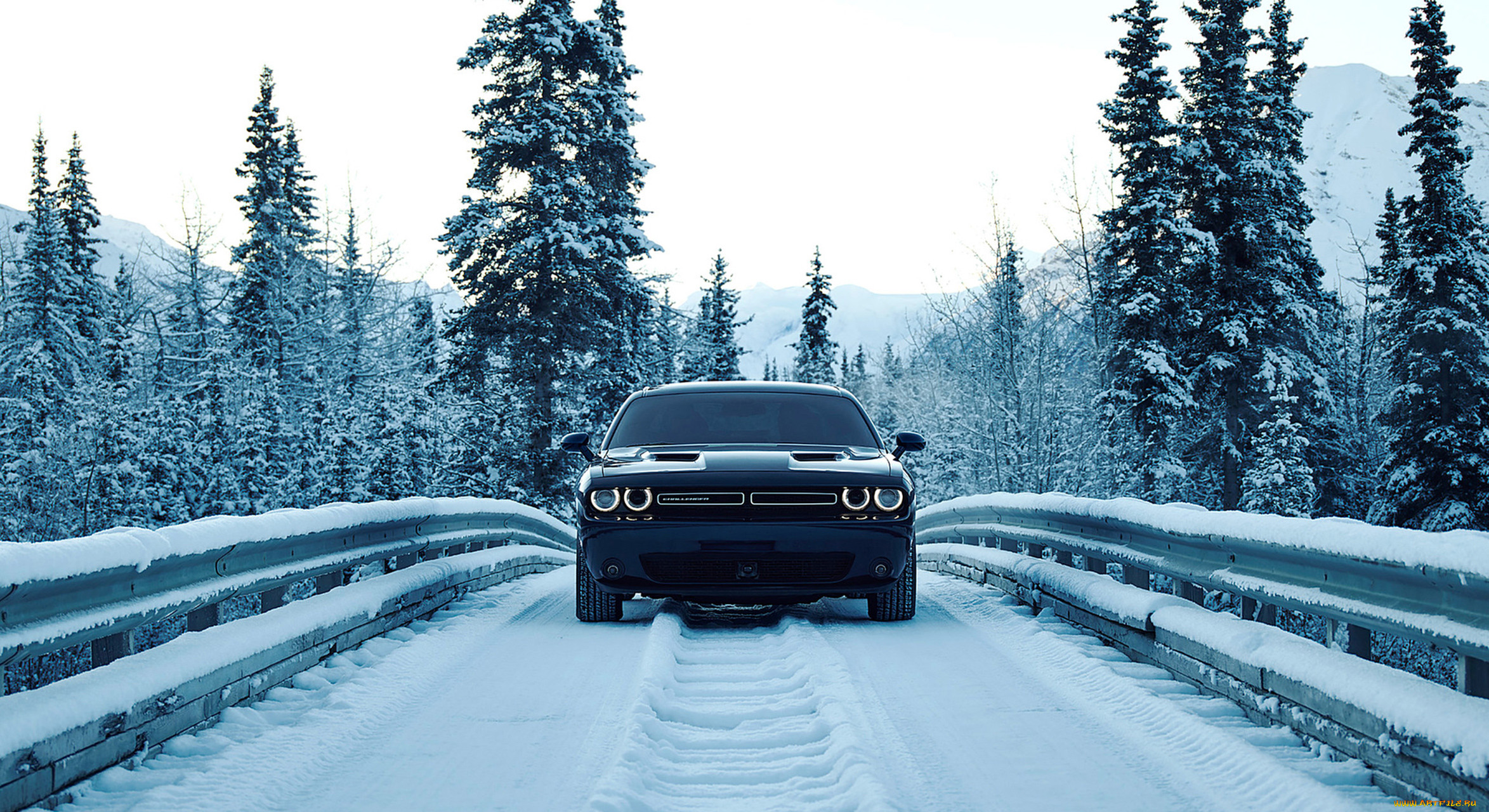 dodge challenger gt-awd 2017, , dodge, 2017, gt-awd, challenger